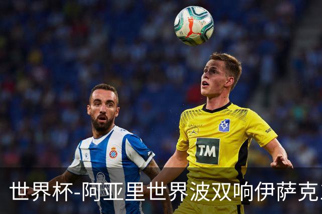 世界杯-阿亚里世界波双响伊萨克1射2传 瑞典5-1突尼斯
