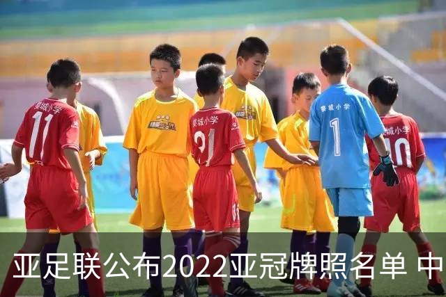 亚足联公布2022亚冠牌照名单 中国只有6支球队