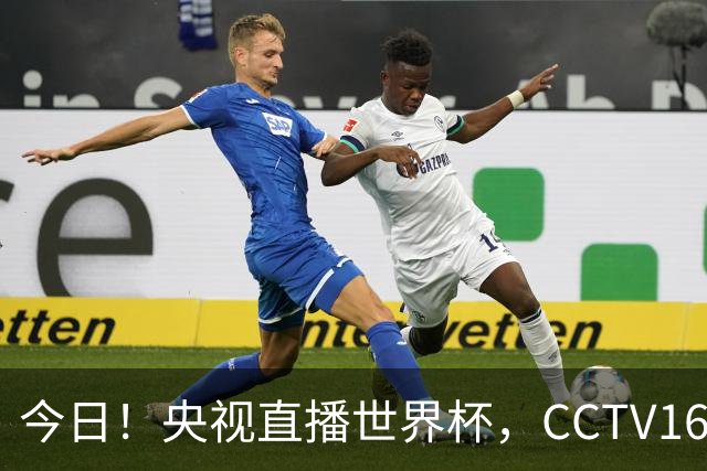 今日！央视直播世界杯，CCTV16转中超，网络转大连鲲城+可为+U17中国男篮+F1等