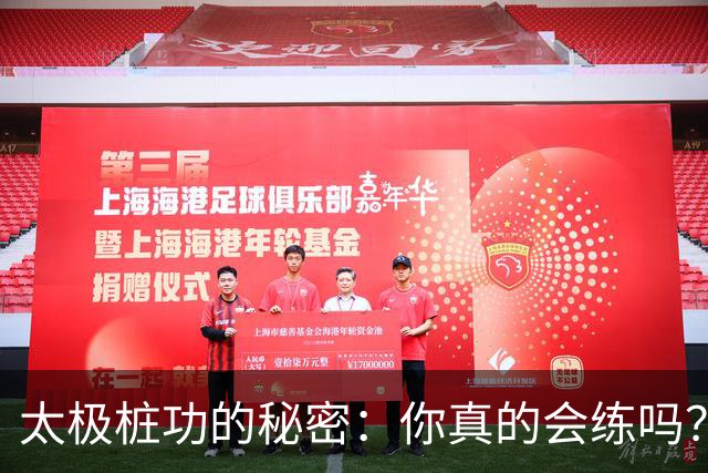 太极桩功的秘密：你真的会练吗？