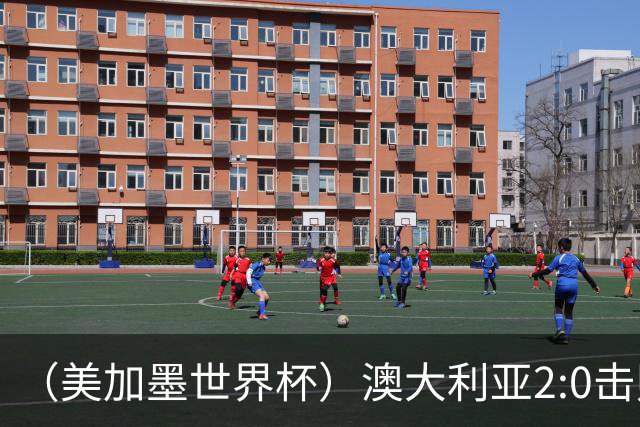 （美加墨世界杯）澳大利亚2:0击败土耳其 中国裁判迎本届杯赛首秀
